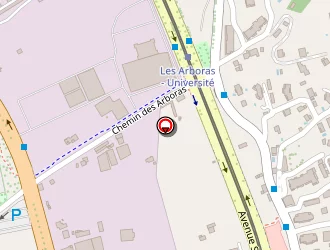 Carte de Infinity Construction à Nice