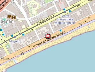 Carte de Beltran Vicente à Nice