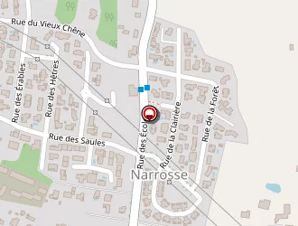 Carte de Mairie à Narrosse