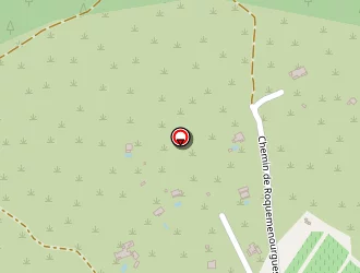 Carte de Buttarelli Mary à Rognes