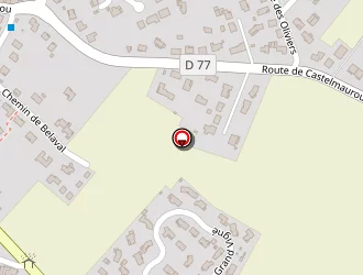 Carte de Idoconsult à Saint-loup-cammas