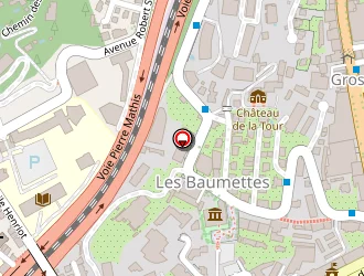 Carte de Ciusnel Ionel à Nice