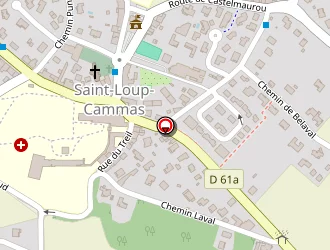 Carte de Rapha-theodora Danielle à Saint-loup-cammas