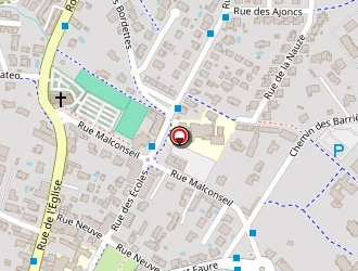 Carte de Lafforgue Muriel à Castelginest