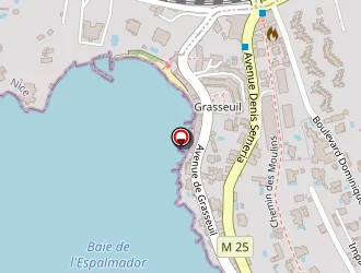 Carte de Spinelle Alice à Saint-jean-cap-ferrat