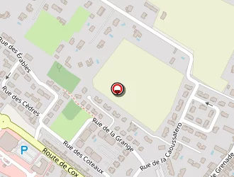 Carte de Nangis Cindy à Saint-paul-sur-save