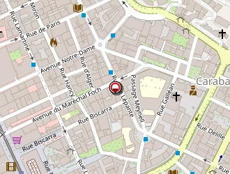 Carte de Entreprise Martinelli à Nice