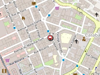 Carte de Synergie Assurance à Nice