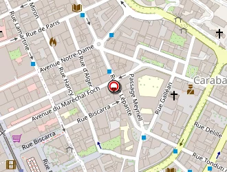 Carte de Mma Patrice Borel Général à Nice