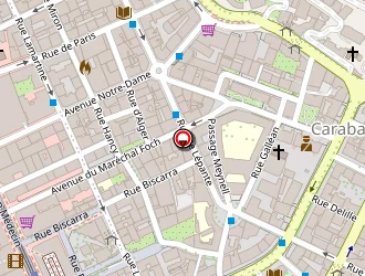 Carte de Triquet Lionel à Nice