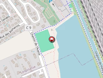 Carte de Estrade à Lespinasse