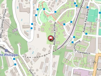 Carte de Cultuelle Orthodoxe Russe Nice à Nice