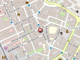 Carte de La Ronronnerie à Nice