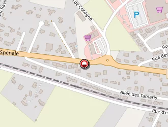 Carte de Tortelli Jean à Lavaur