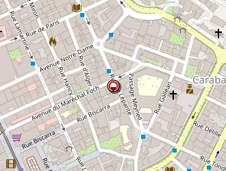 Carte de Boullié Emilie à Nice