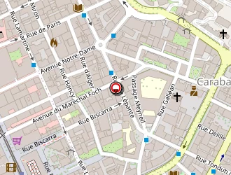 Carte de Acoustic Shop à Nice