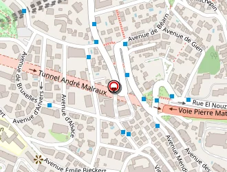 Carte de Police Municipale à Nice