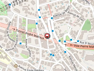 Carte de Torri Julie à Nice