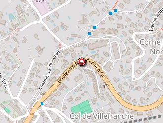 Carte de Florence Lemedioni à Nice