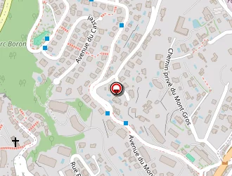 Carte de Riviera Global Services à Nice