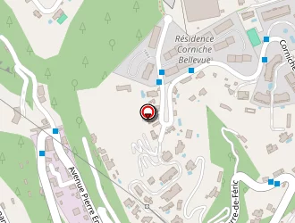 Carte de Piras Camille à Nice