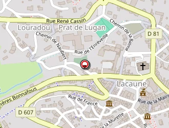 Carte de Cousinie Fleurs à Lacaune