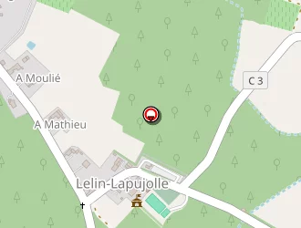 Carte de Castagnos Claude à Lelin-lapujolle