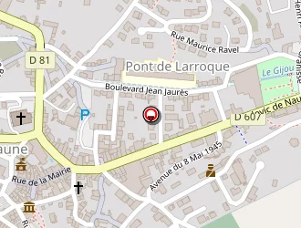 Carte de Delmas Germain à Lacaune