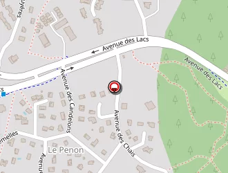 Carte de Michel Eric à Seignosse