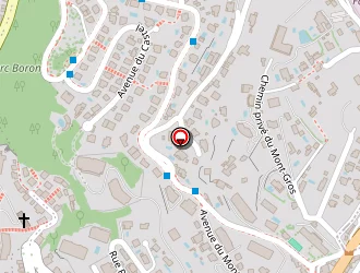 Carte de Vermorel Frédéric à Nice