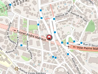 Carte de Gorregues Annie à Nice