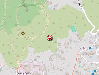 Carte de Azur Taxi à Nice