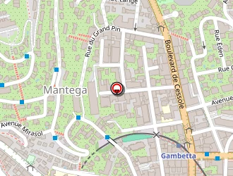 Carte de Irimias Raul à Nice