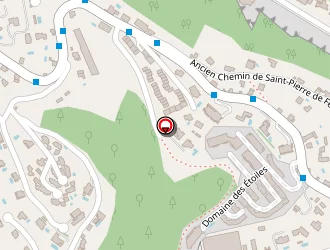 Carte de Chauffeur Riviera à Nice