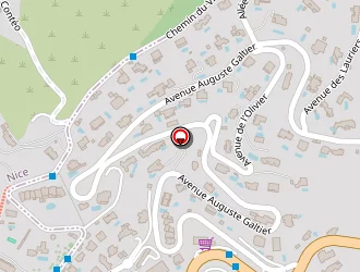 Carte de Verbrugge Antony à Nice