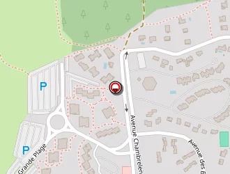 Carte de Paillet Mathieu à Seignosse