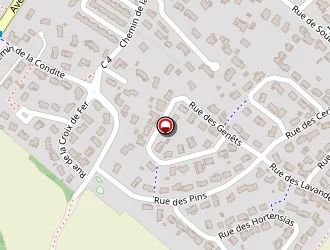 Carte de Fontes Damien à Montberon