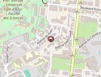 Carte de Berto Marcia à Nice