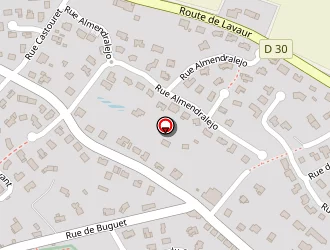 Carte de Flash-elec 31 à Montastruc-la-conseillère