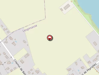 Carte de Bm Services à Lespinasse