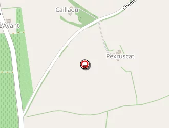 Carte de Borliachon Xavier à Margouët-meymes