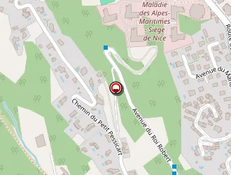 Carte de Regis Michel à Nice