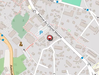 Carte de Rougeot Philippe à Vence