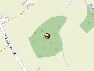 Carte de Carroue Robert à Roquesérière