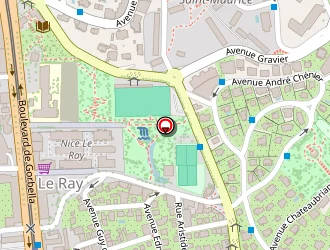 Carte de Roche Thierry à Nice