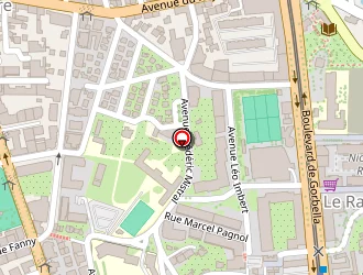 Carte de Taxi Virginie à Nice