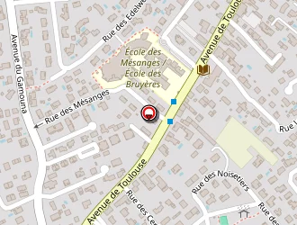 Carte de Agy Services à Bruguières