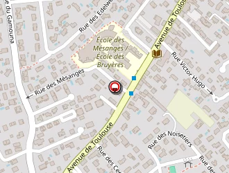 Carte de Midi 15 à Bruguières