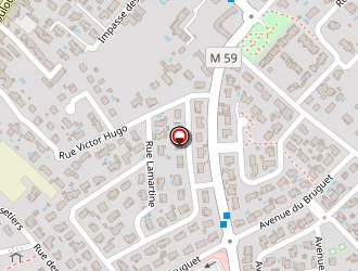 Carte de Bergés Serge à Bruguières