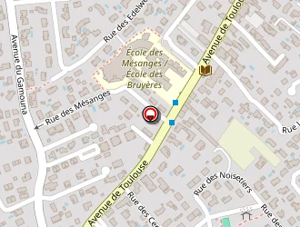 Carte de Maffre à Bruguières